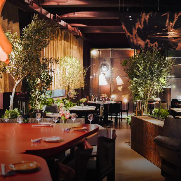 3D-люстра, суп с крабом и ужины омакасе: Self Edge Chinois на проспекте Добролюбова — Новое в Петербурге. Большой город