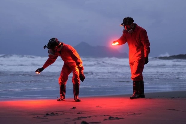 Чем заняться в Москве с 4 по 10 декабря — События недели. Большой город