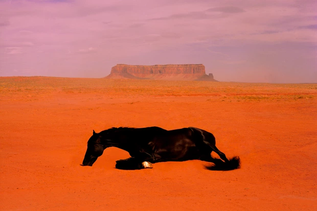 Успеть на Cosmoscow: Что искать на обновленном стенде ярмарки в выходные — Искусство. Большой город