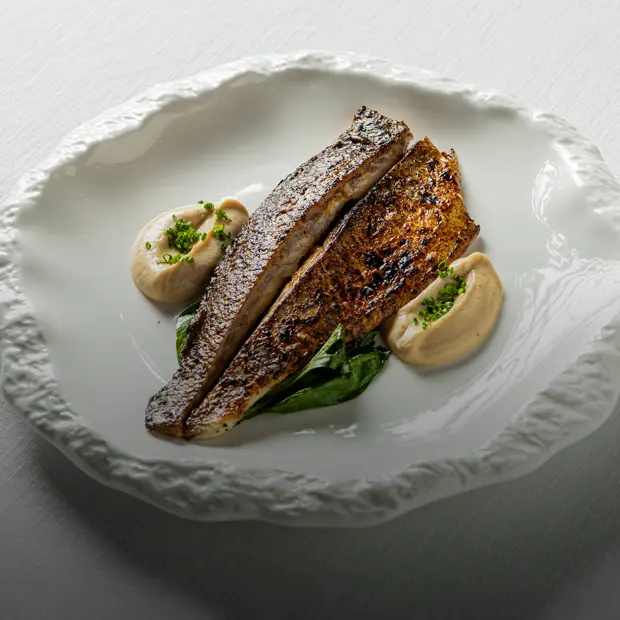 «Тайцы», винодельня и винный паб Urban Winery, новое меню в Historia и Unica и блины в Mamie — Новости ресторанов. Большой город