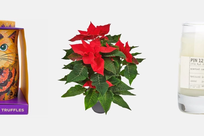 Праздник для всех: 20 идей универсальных подарков на любой бюджет