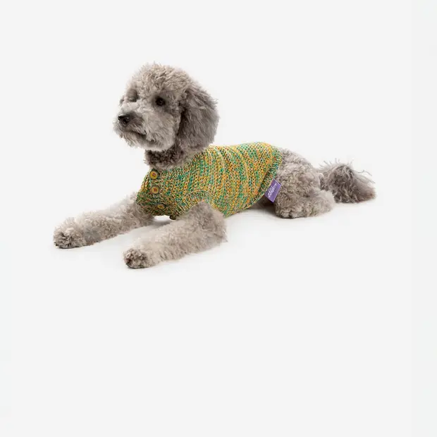 Все для вашего Бобика: 13 магазинов и брендов для питомцев и их хозяев — Гид «Большого Города». Большой город