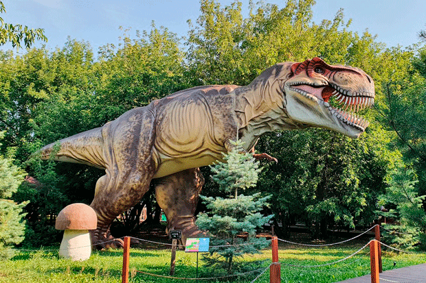Куда сходить с фанатом динозавров: 10 мест в Москве и области — Гид «Большого Города». Большой город