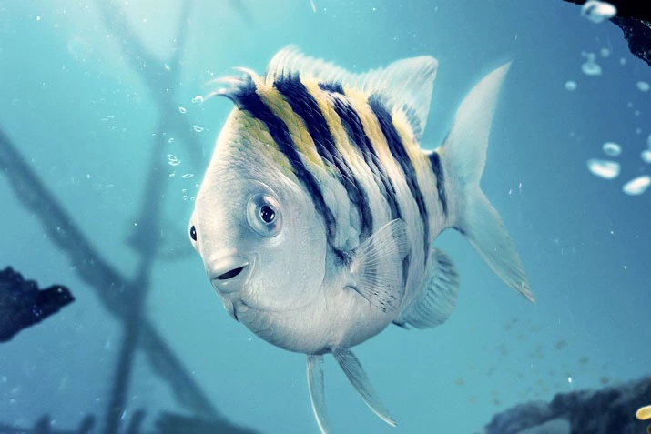 «Флаундер выглядит как я после работы сегодня»