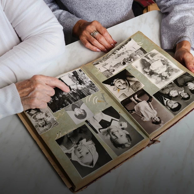 Как составить свое генеалогическое древо: Пошаговая инструкция — Есть вопрос. Большой город