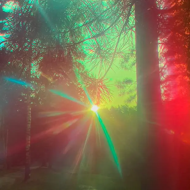 Зачем ехать в Черноголовку? Гид по итоговой выставке арт-резиденции «Гало» — Искусство. Большой город