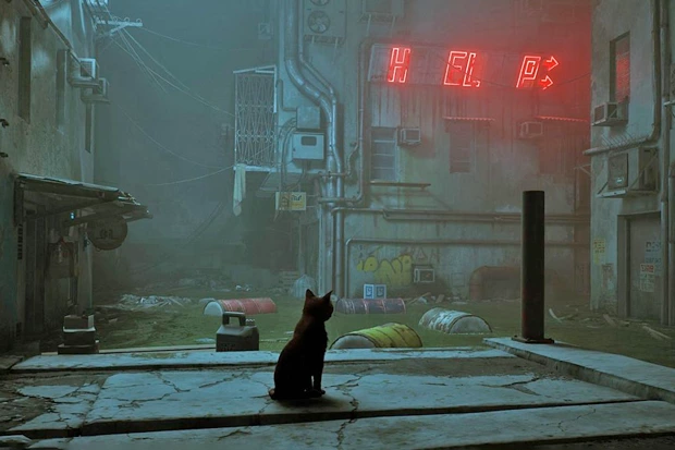 Что известно о Stray — самой популярной игре сейчас