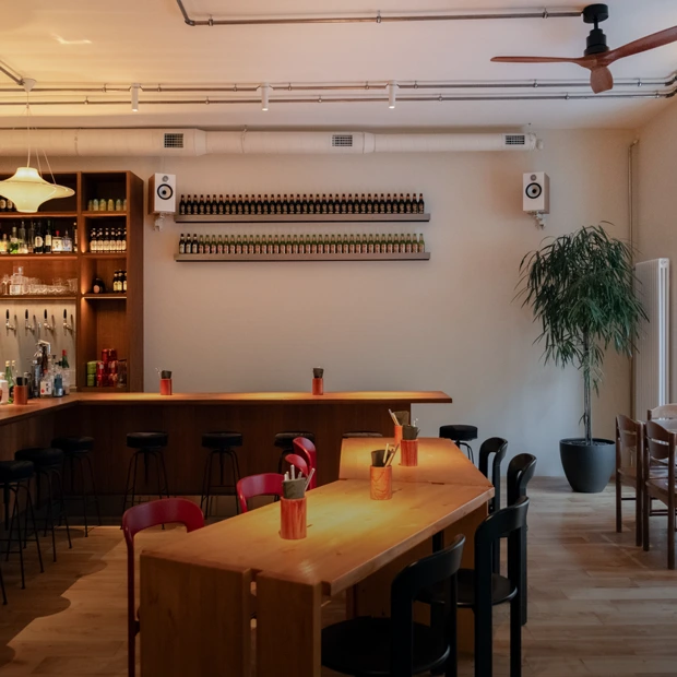 Теплый минимализм, китайский кисло-острый суп и сердечки с робаты: закусочная House of Jade — Новое в Петербурге. Большой город