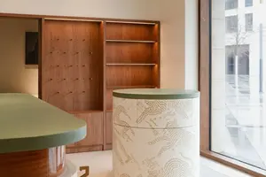 Medical spa для животных «Мой тигр» от бывшего топ-менеджера «Инвитро»
