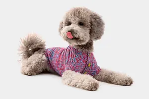 Капсула Pet Subject x RomaUvarovDesign для собак и их хозяев