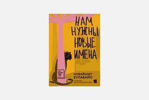 «Нам нужны новые имена» — дебютный роман НоВайолет Булавайо