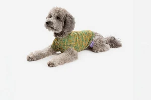 Все для вашего Бобика: 13 магазинов и брендов для питомцев и их хозяев