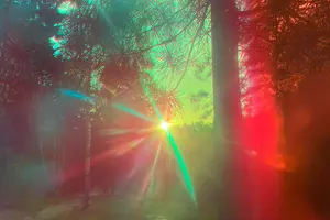 Зачем ехать в Черноголовку? Гид по итоговой выставке арт-резиденции «Гало»